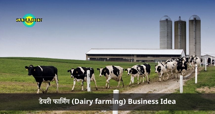 डेयरी फार्मिंग (Dairy farming): बिज़नस आईडिया कम लागत ज्यादा मुनाफा